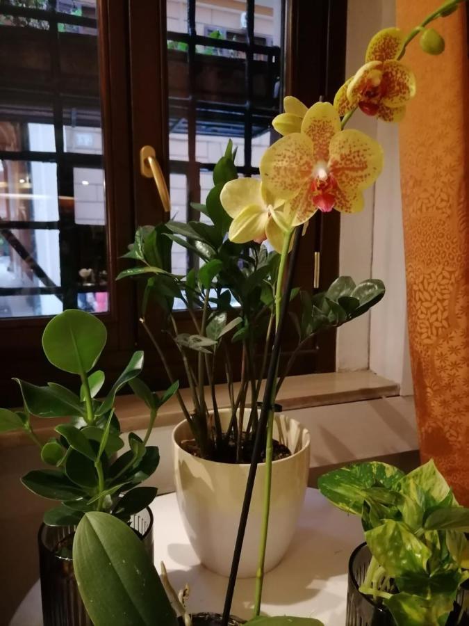 Hotel Julia Rome Luaran gambar